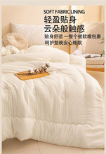 冬季加厚原棉大豆双人空调棉被被子四季单人春秋保暖学生宿舍通用
