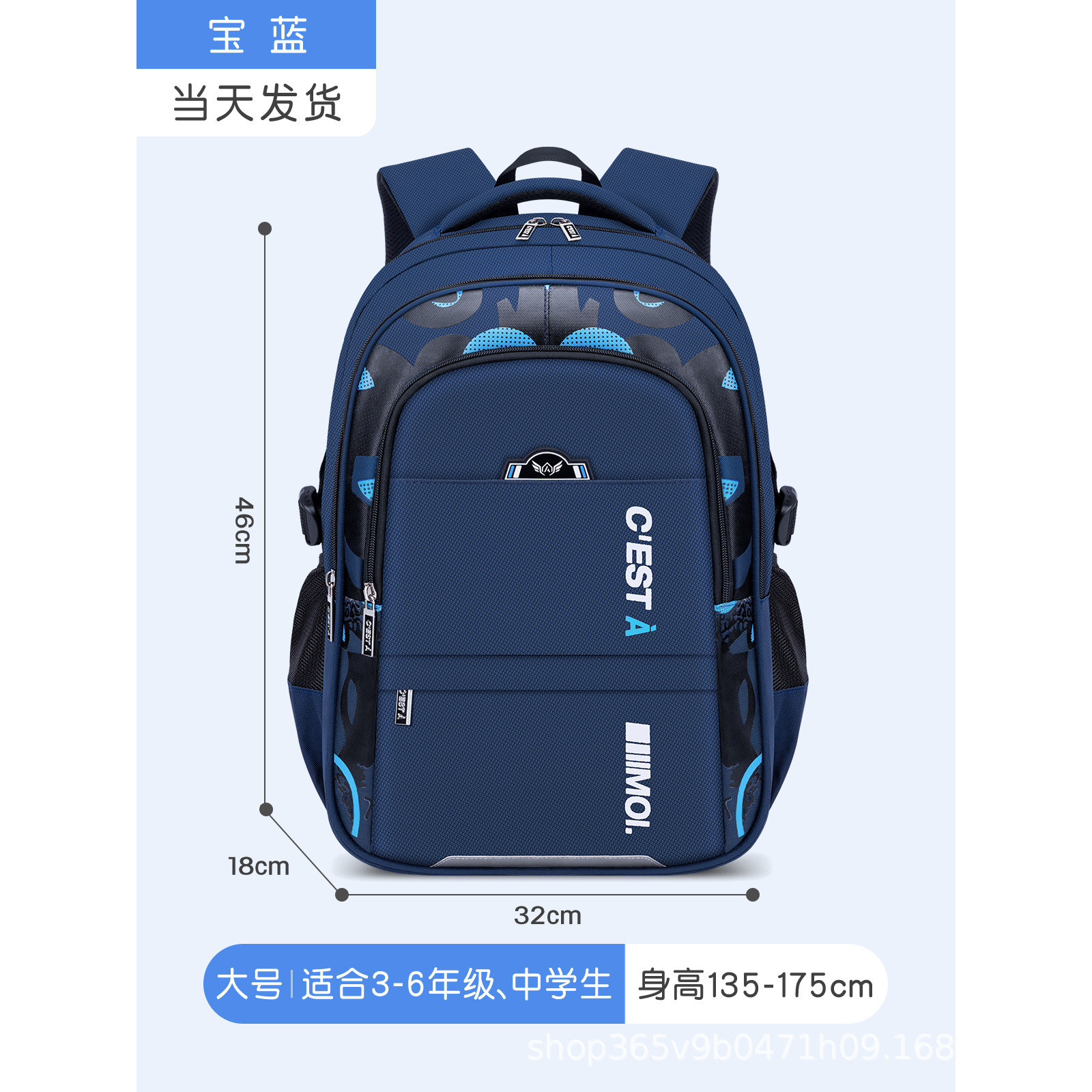 사파이어 블루 대형