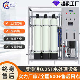 弘力 小型250KG工业反渗透水处理设备 商用工业处理废水净水器