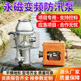 不锈钢永磁变频潜水泵磁力防洪泵消防应急市政抽水排水轴流泵