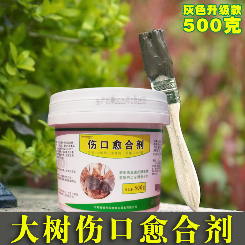 회색 500g/병