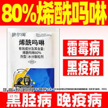 ʩ80%ϩS˪ùÚrșƷӚș