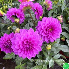 ���ʹ��������Ԏ������l؛�ļ��_���̨ͥԺ���ܰ���С���ջ��S��