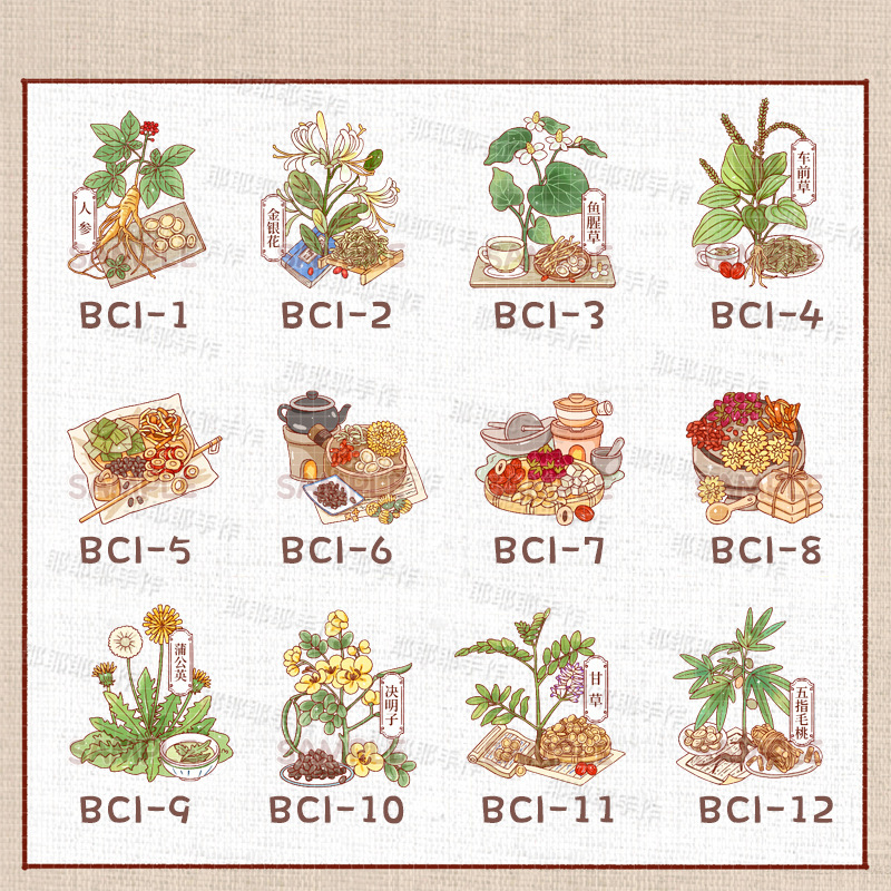 Chinese Style Traditional Chinese Medicine Herbal Decoration Refrigerator Magnet for Children Science Gift Honeysuckle Ginseng Sticker
