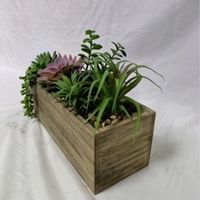 仿真多肉家居装修仿真盆景装饰 办公室点缀绿化假花花艺厂家批发