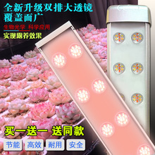 �˹ܼ�ȫ���V�����a���������ɫ��ͽ�L��������ֲ�����L��̫ꖹ�