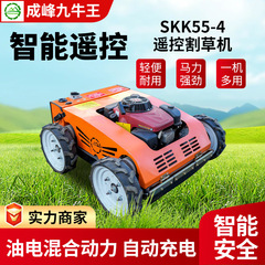 メーカーのリモコン芝刈り機のSKK55-4作業時に自動充電ホイール式芝刈り機の荒涼とした草刈り機