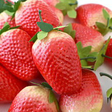 �����ݮģ�� ���ϲ�ݮ�L���ˮ���߲˔zӰ���ߙ����S�����l