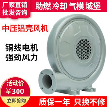 ���ɷ��CZ-LD550W���ǵ���������ʽ�ķ����ѹ���220vͨ�绻��