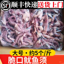 脆口鱿鱼须1斤2斤斤新鲜冷冻章鱼足小八爪足海鲜水产烧烤饭店商用