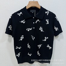 26�ļ��¿����͸߶�CHС��羭��ʱ��ײɫ�Ứ����Polo��֯����Ů