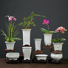 ��ɫ��G�ŵ�͹���ʽ�����m���h֦�Gֲ�ֹ�ϴī���øߜ��մɻ���