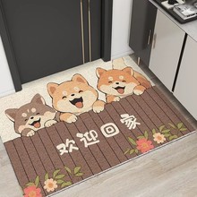 卡通入户门丝圈地垫门口耐磨可冲洗家用地毯入户门玄关门垫可裁剪