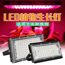 ֲ��Ͷ���led����ֲ��Ʋ������ֲ��ȫ���������ƿ���̫����