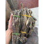 400头500g海龙海钻海尖干货入药打粉六角海龙四角足干商用批发