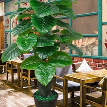 �Gֲ��ˮ�^��ֲ��ٻ��[�O�҃��b����ϰlؔ��͏d�[����ػ�