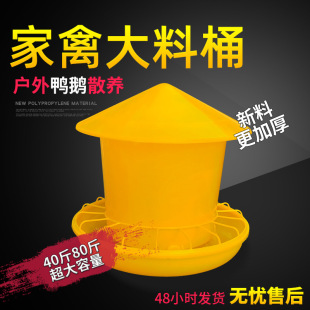 �u���ϲ�40����ι�u����ϲ�ȫ�Ԅ�ιʳ��С�Z��Ͱ�uʳ�ۿ��\���]