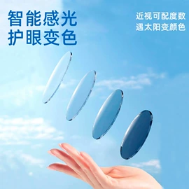 框架眼镜;太阳镜;老花镜