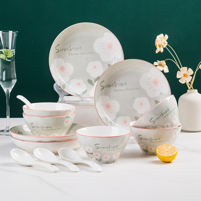 尚行知是 陶瓷餐具日式网红碗碟套装礼品ins家用盘子批发|ms