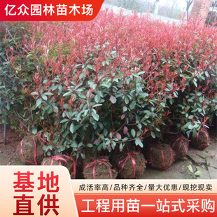�t�~ʯ���ߗUʯ���ͥԺ�@�־G���繤�����ⳣ��ֲ����t����