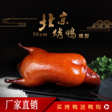 ����ģ������ҼƷ��ʳģ�͵����}ˮ��������������ֲ�ā��̨