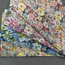 2025¿С黨֧ܼ޲ϴBȹbDIY