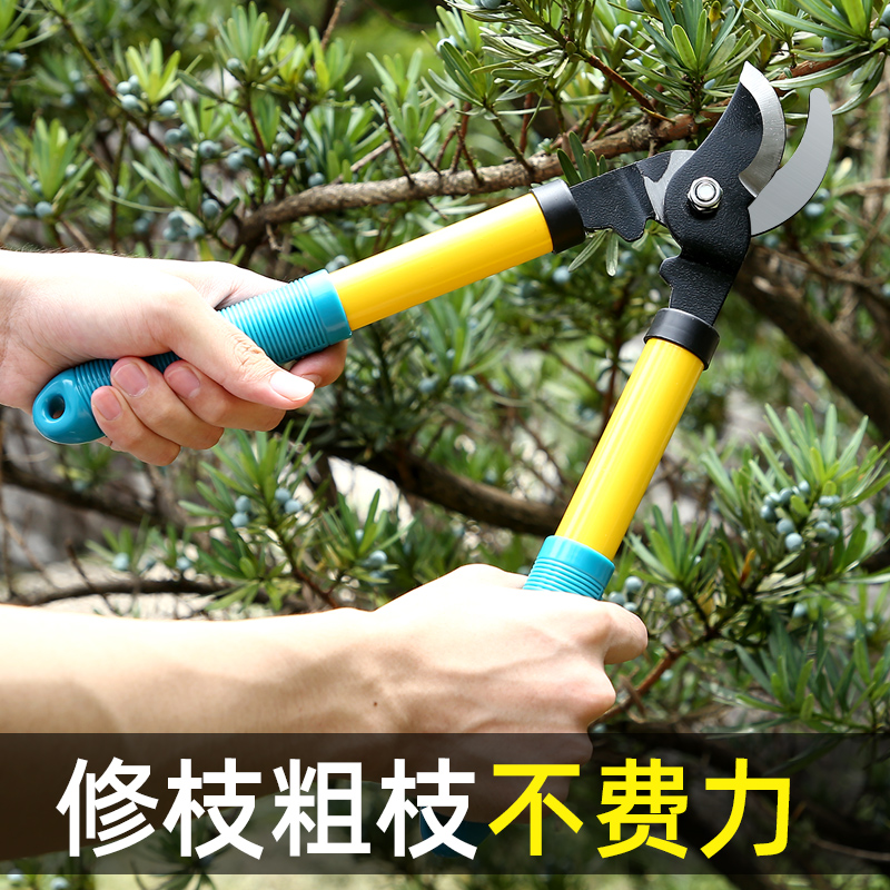 大力剪粗枝剪修枝剪园艺剪刀小高枝伸缩铝合金粗枝剪刀果树粗枝剪-阿里巴巴