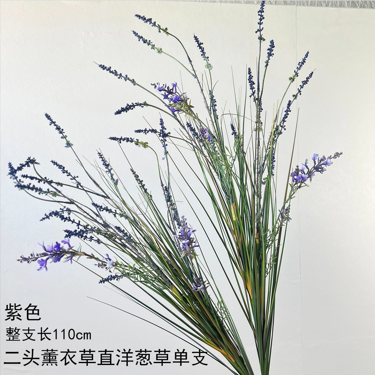 Lavanda de dos cabezas, cebolla recta, una sola rama - púrpura