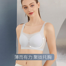 2075�ļ��¿�o�ۃ��³����ٸɟo�Ȧ����˯�ߴ����@С͸�����m