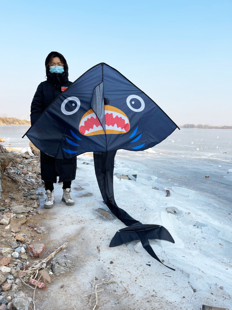 DH三角鲨鱼 (1).jpg