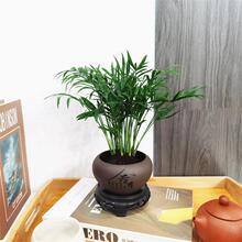 ����Ҭ��ֲ�������҃ȿ͏d�k�����ļ������Pβ��������B�Gֲ����