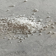 Ll5-150ĿNҎʯɰʯӢɰʯ