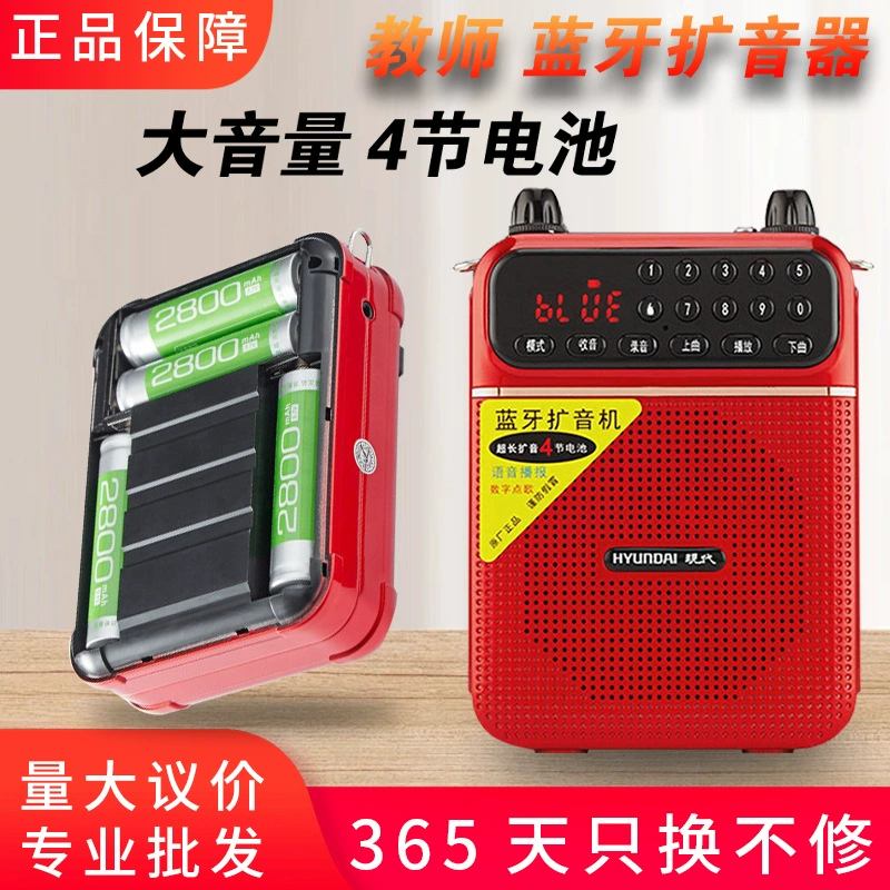 Усилитель для учителей с Little Bee Tour Guide, громкоговоритель, Bluetooth, аудио-радиоплеер, беспроводной