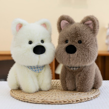 �ɐ��������ߵ�С��ë�q��߹��Ї���С��������ż�������նY����