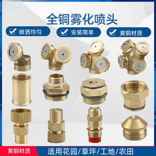 ���m�����F�����^������ˮ���F���߲˴�ș�ӝ񝲲��r���~�������