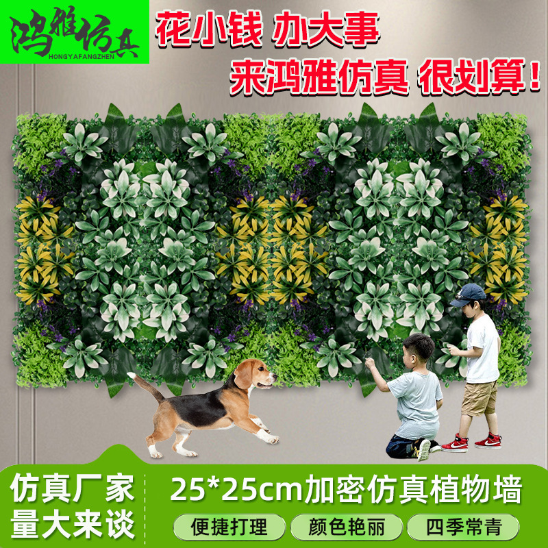 クロスボーダースポットシミュレーション 25*25 植物壁ミニ植物壁緑植物壁装飾プラスチックシミュレーション植物壁|undefined