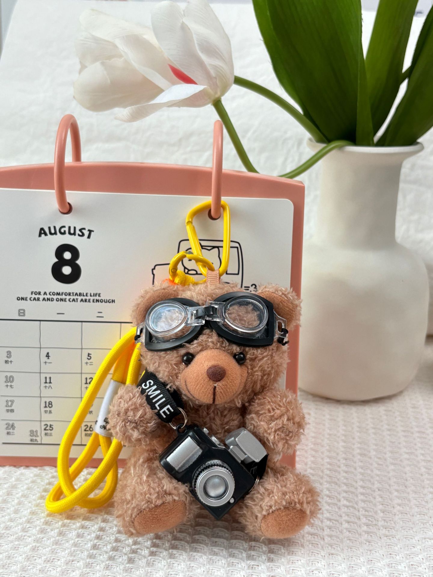 갈색 곰돌이 + 카메라 안경 곰돌이