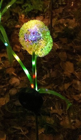 1 머리 - 민들레 - 색깔의 빛