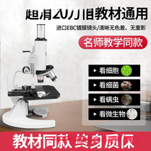 ��W�����п��@΢�R��������С�W����ͯ�ƌW�ɿ���������