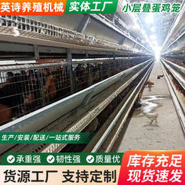 青年鸡笼 多层阶梯式蛋鸡笼 鸡笼子加粗 养殖笼具 养殖设备