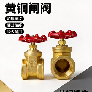 �S�~�l�yȫ�~�y�T4�ֽz�ݼy�l�y�_�P���y����ʽƽ���l���S�~�l�y