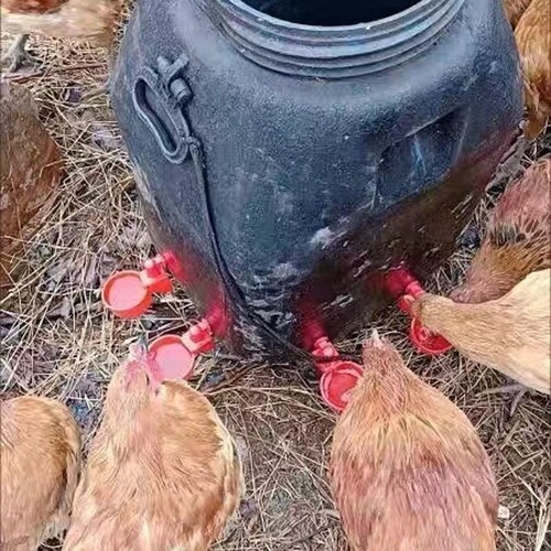 Automatic Drinking Fountain for Chicken, Duck, Goose, Quail, Bird, Dove Farm, Multi-Function, Suitable for Multiple Poultry, Daily Use