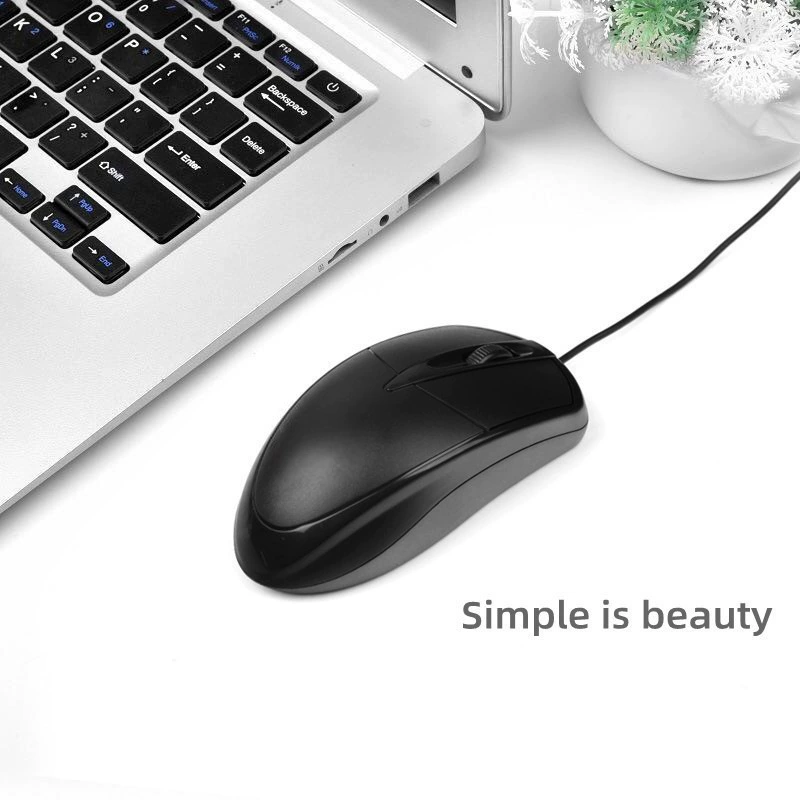 Laptop, mouse, accessories, Amazon, wholesale