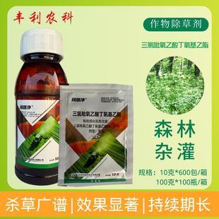 ��ʃ� �����������ᶡ����������~�s�ݽjʯ�ٹ�ľ���݄���Ʒ