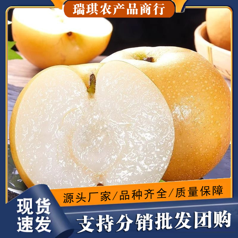 正宗丰水梨整箱冰糖梨子现摘新鲜水果非秋月梨山东莱阳梨山东产无