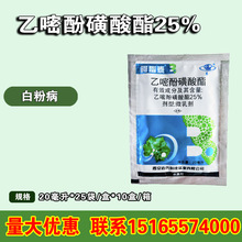 ����̩ 25%���׷ӻ�������ݮ���������¼��׷۲��rș������ 20g