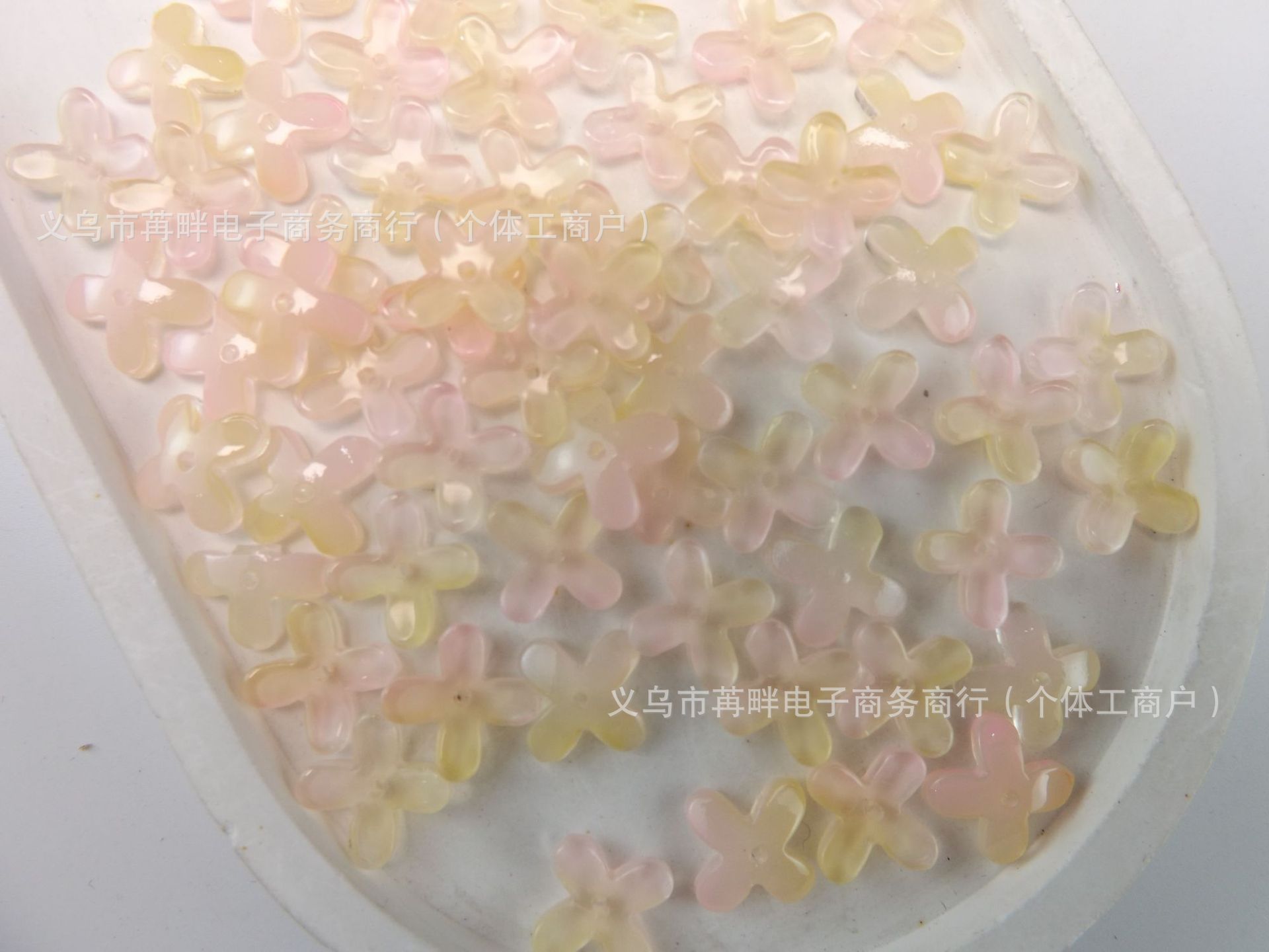 DSCF6974