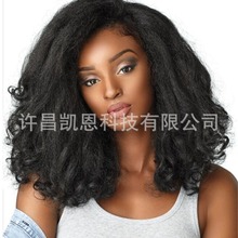 ˿ɱըŮʿͷ׷Natural Afro Wig