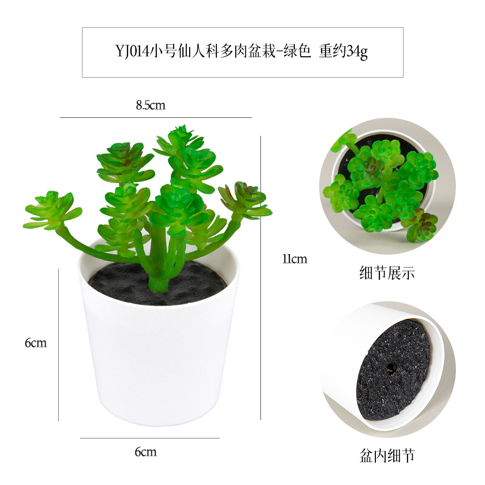 Tamaño pequeño de hadas Kedudo carne mini olla de simulación de plástico esmerilado pequeño bonsai decoración de escritorio regalo simulación suculento