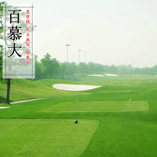 ������Ľ��N�� �����ļ������ �ͺ����`̤���òݲ�ƺ�N�Ӳ��޼�